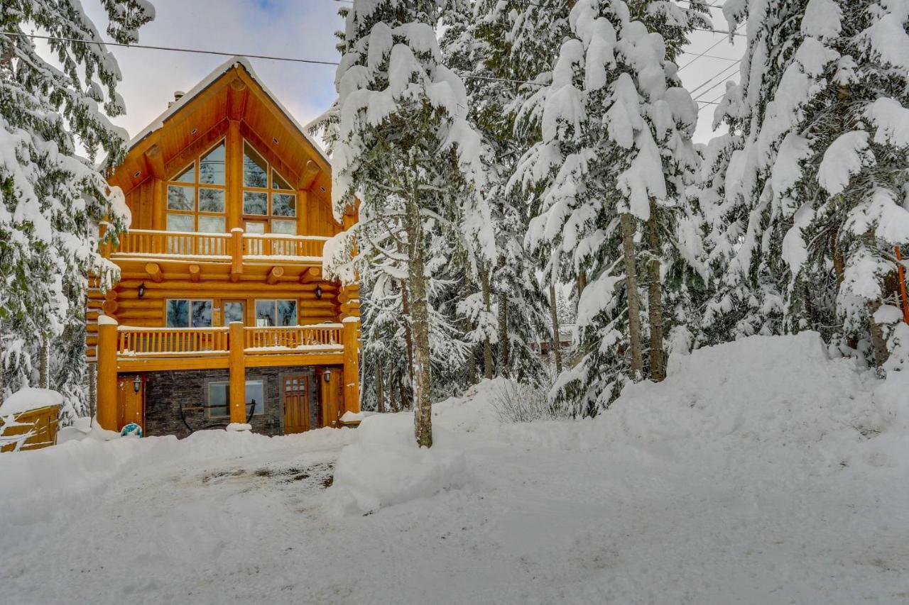 Skiing Bear Chalet 加文门特营 外观 照片